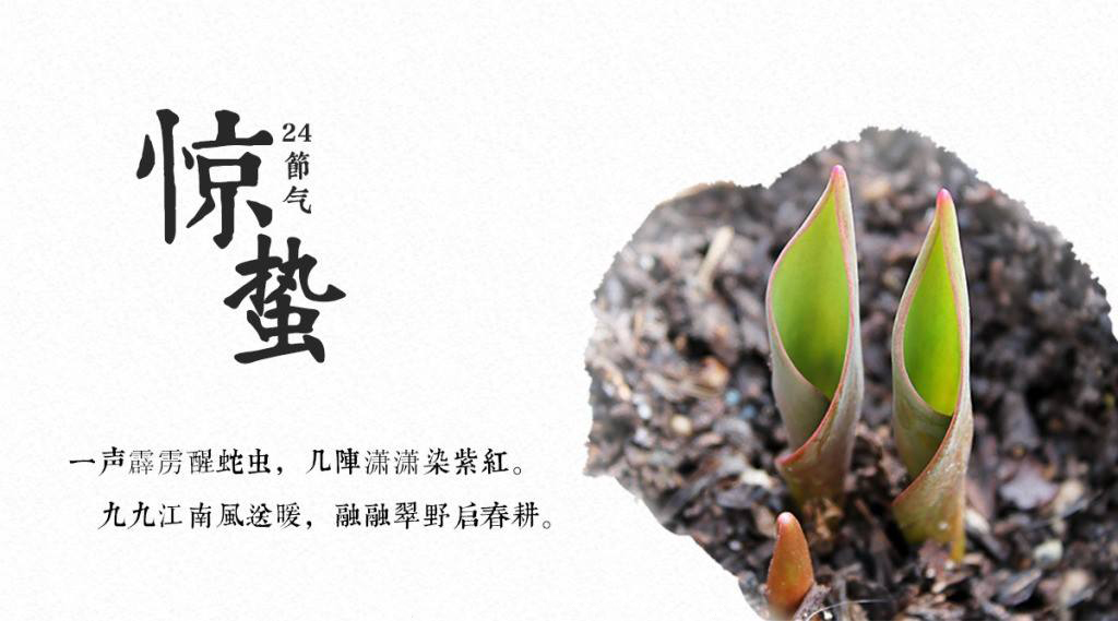 餐飲空間設計你現(xiàn)在不搞，那要等什么時候搞