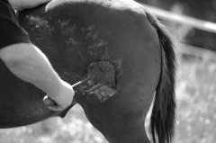 餐飲店老板該如何設(shè)計(jì)餐飲品牌在競(jìng)爭(zhēng)中勝出并贏得顧客？